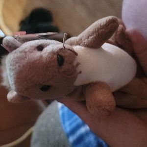 Beanie baby